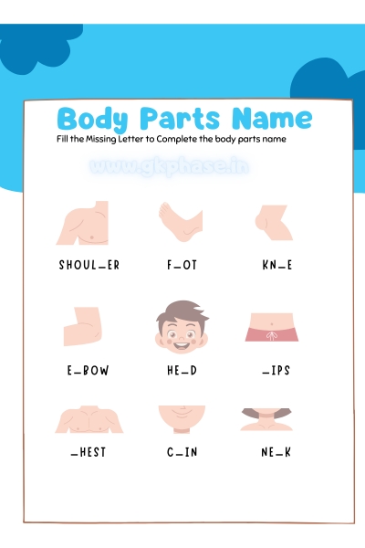 body parts name