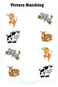 picture matching
