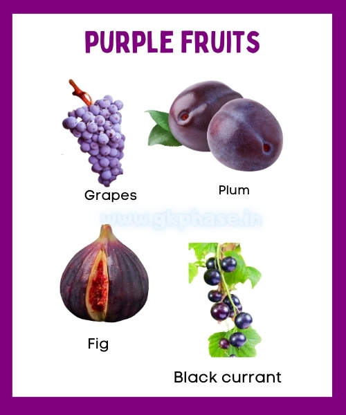 purple fruit