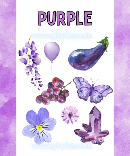 purple color