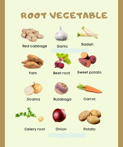 root vege