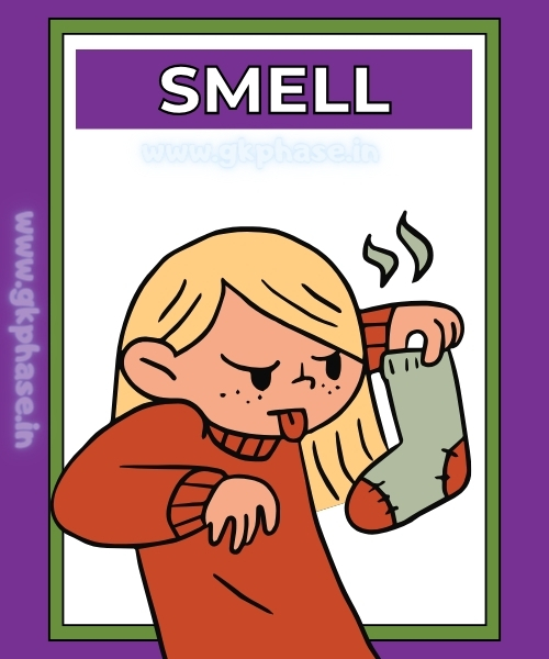 smell