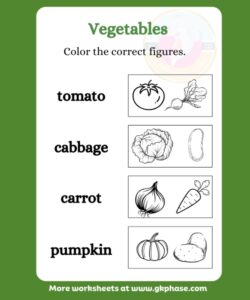 vegetable 11