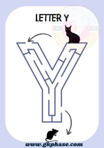 Y