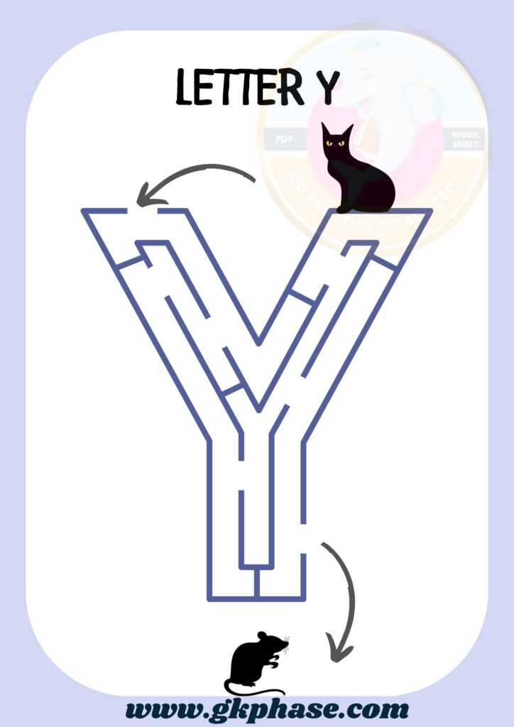 Y